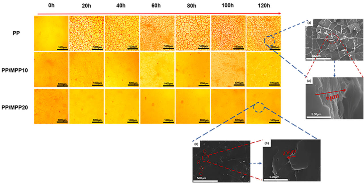 257-01-紫外光辐照历程中PP以及PPMPP外貌裂纹转变